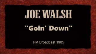 Joe Walsh - Goin' Down (Live in Pittsburgh, Pennsylvania 1985) FM Broadcast