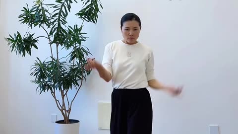 0571.平衡搖擺飛