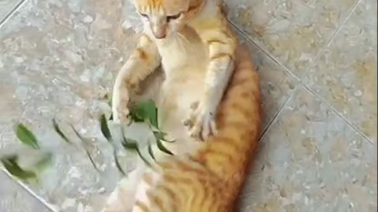 "Bored? Watch Me Play Catch the Leaves with My Funny Cats – They Go Crazy!"