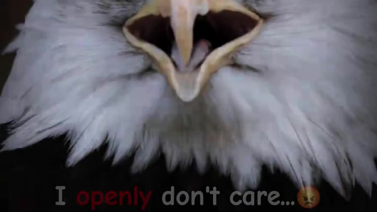 Biggest guilt || Eagle 🦅 Attitude || True lines || Motivational Status #shorts #motivationalquotes
