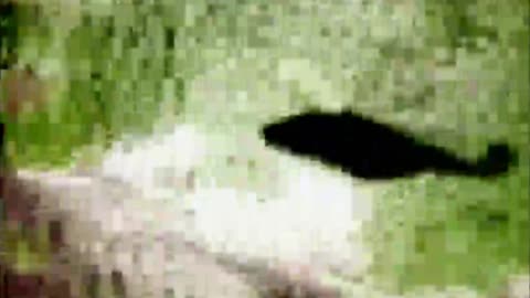 NAJLEPSZE MASZYNY BOJOWE 1 dokument pl