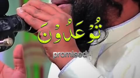 Qari Saeed ul Islam's melodious recitation with English translation #Recitation #HolyQuran