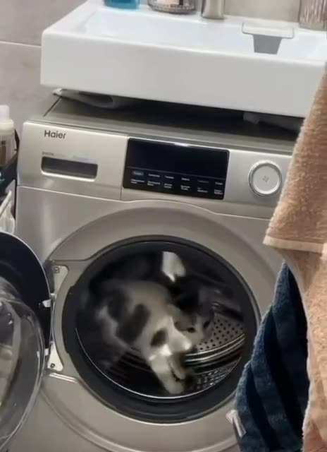 Low budget shouldn’t stop you from doing cardio