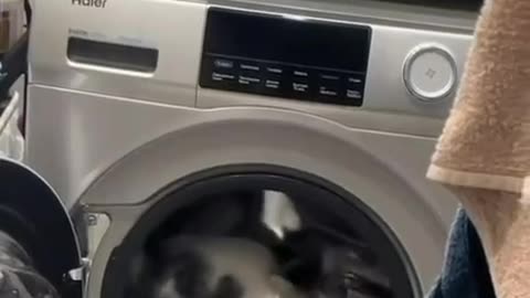 Low budget shouldn’t stop you from doing cardio