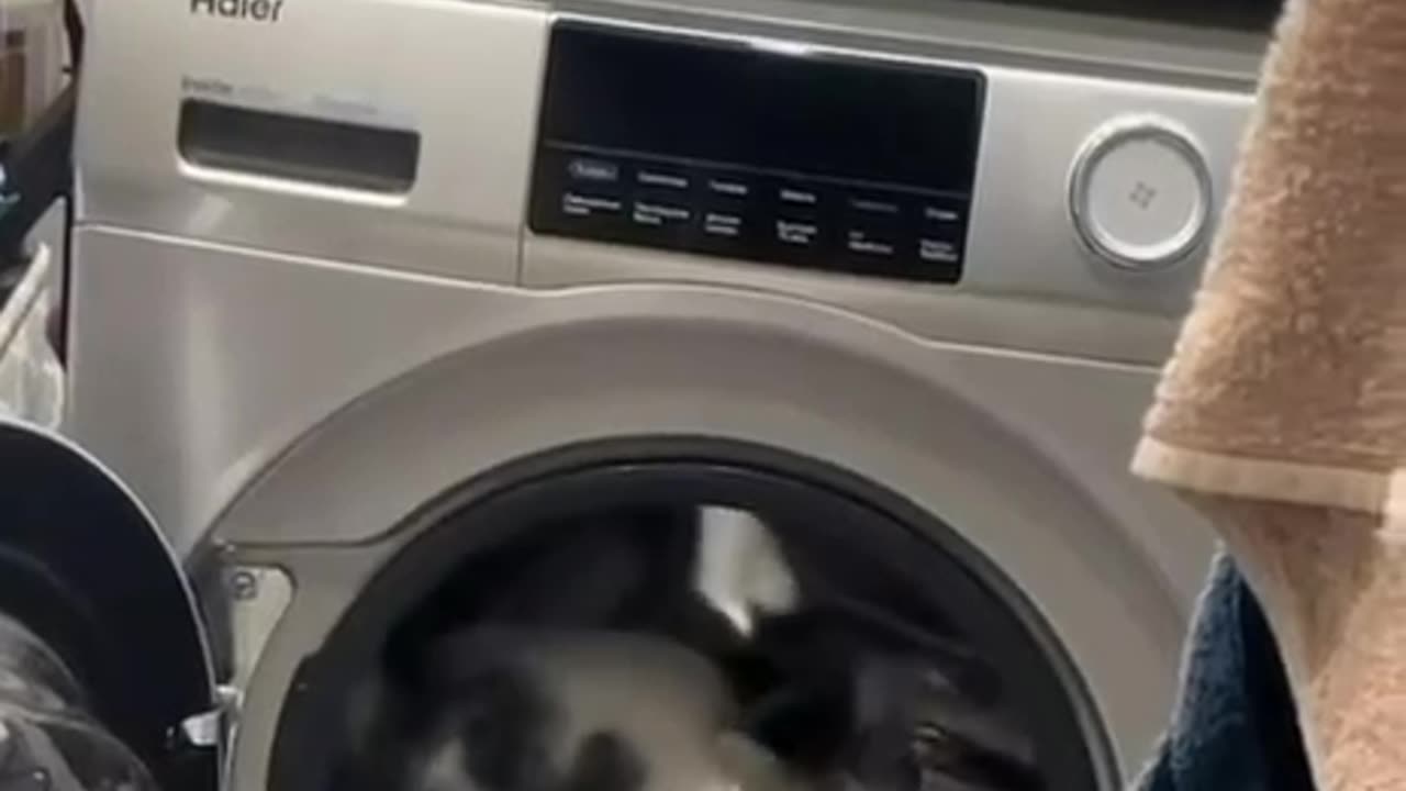 Low budget shouldn’t stop you from doing cardio