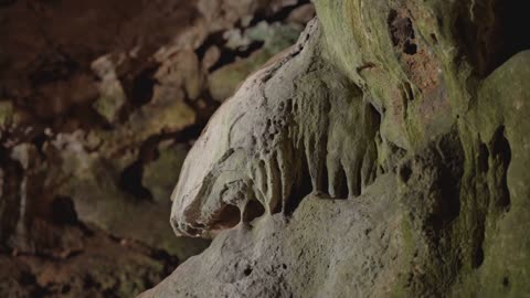 4万年前の“絵の具”を40秒で再現