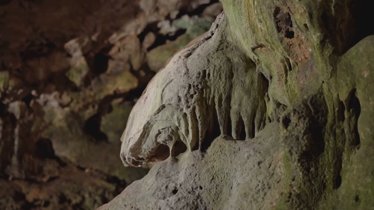 4万年前の“絵の具”を40秒で再現