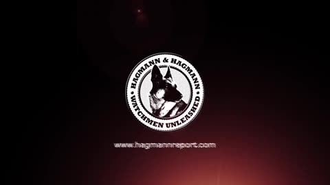 FLASHBACK TO 2017: Dr. Paul Williams - Gladio & Deep State Infiltration