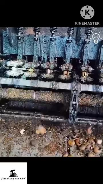 "Revolutionize Your Kitchen: Effortlessly Peel Fruits with This Amazing Machine! 🍏✨"