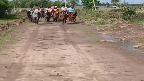 Cabalgata infantil en Río Branco, Cerro Largo - Uruguay 08/11/2025