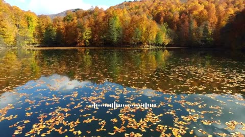 RELAXING PIANO FOR STUDYING AND SLEEPING - Instrumental Music for Concentration and Peace of Mind