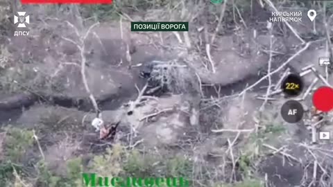β‘οΈBorder guards of the "Steel Border" defeated enemy positions in the Kursk direction