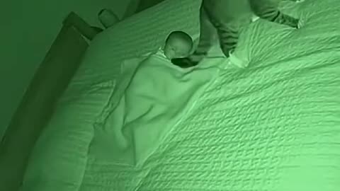 The cat bravely protected the baby.