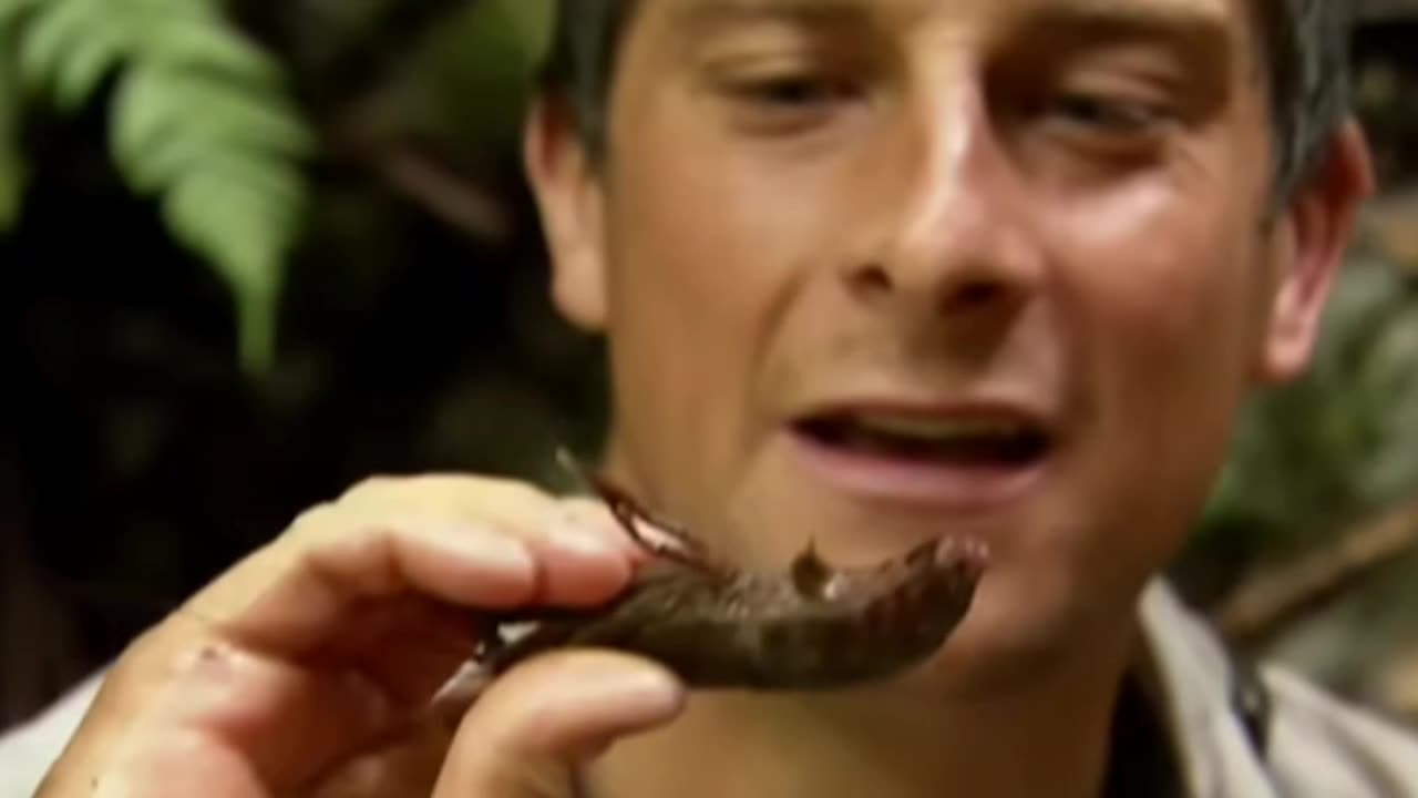 Bear Grylls’ Wildest Things Eaten | Man vs. Wild