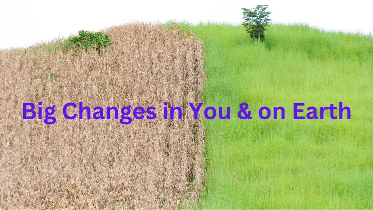 Big Changes in You & on Earth ∞Thymus ~ Channeled by Daniel Scranton