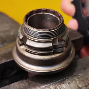 This is a bicycle freewheel mechanism.