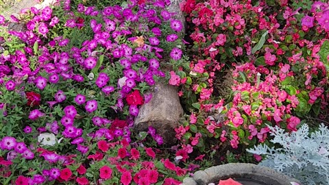 Mulching Blooms is the most fun,