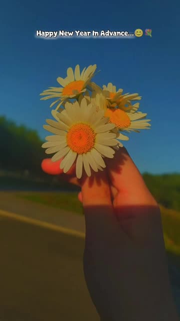 Happy New Year...😊🎁💐 . . .#happynewyear2026 #newyear #viral #trending #explore