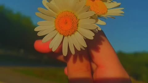 Happy New Year...😊🎁💐 . . .#happynewyear2026 #newyear #viral #trending #explore