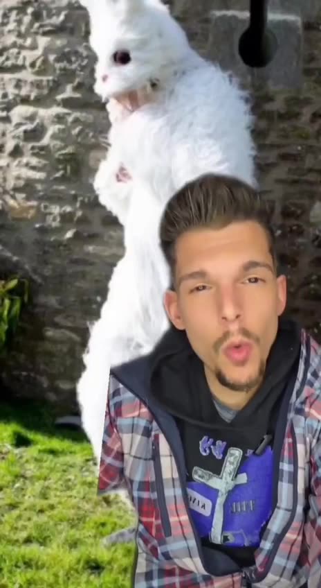 PLAYBOY-Was Hugh Hefner CIAChild Sex Trafficking = Follow The White Rabbit = Follow the Adrenochrome