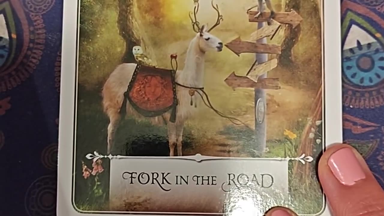 Oracle Card Reading 11/14/25