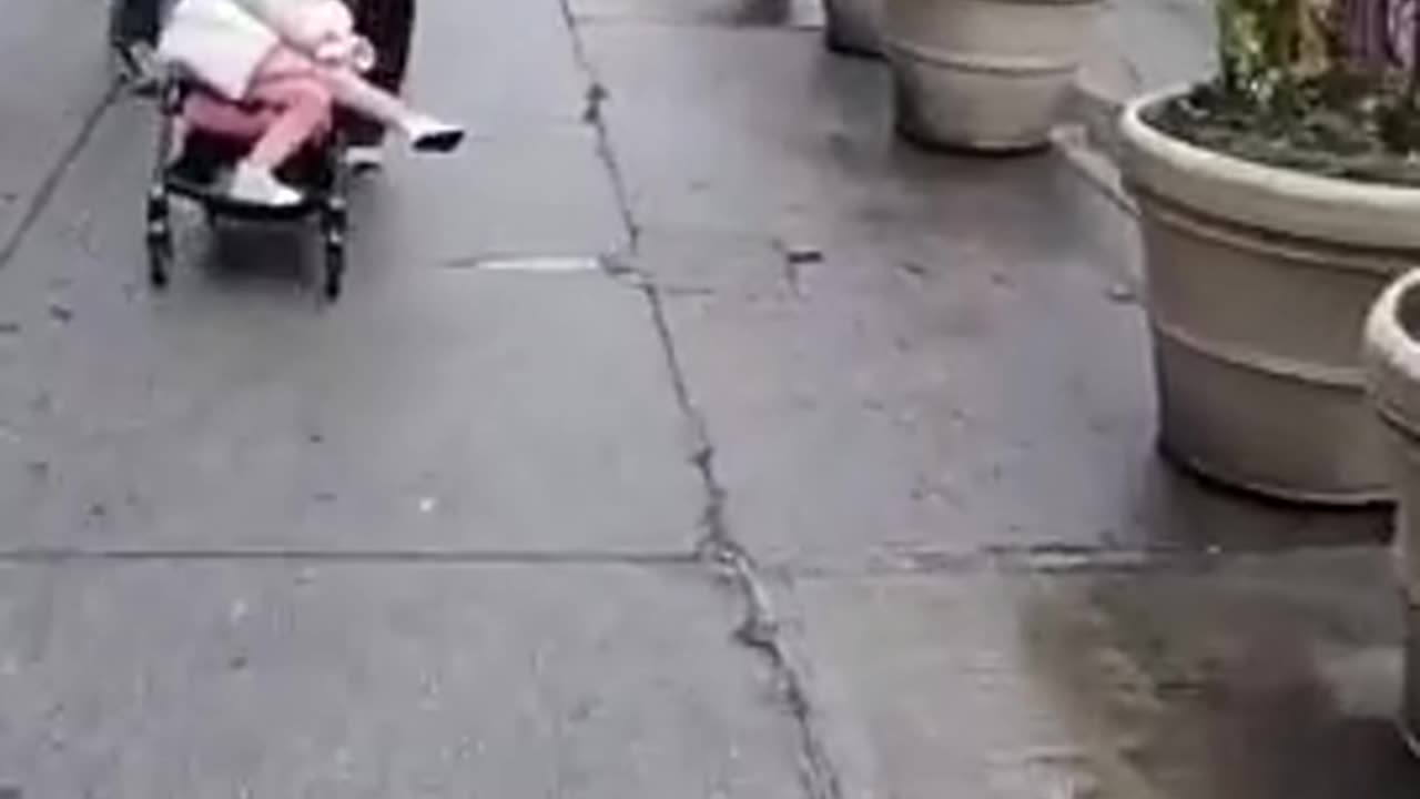 New York City is cleanest its been in decades and healing. All the illegals have disappeared.mp4
