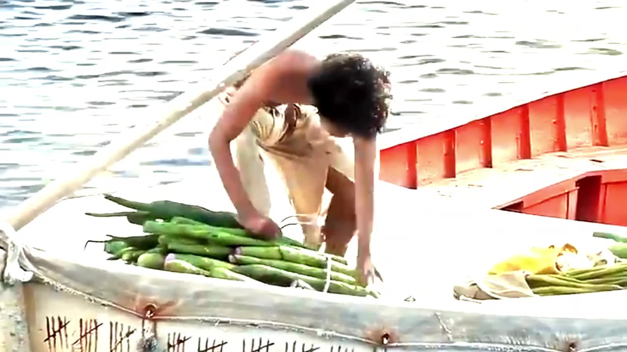 Their Journey Ends With Heartbreak