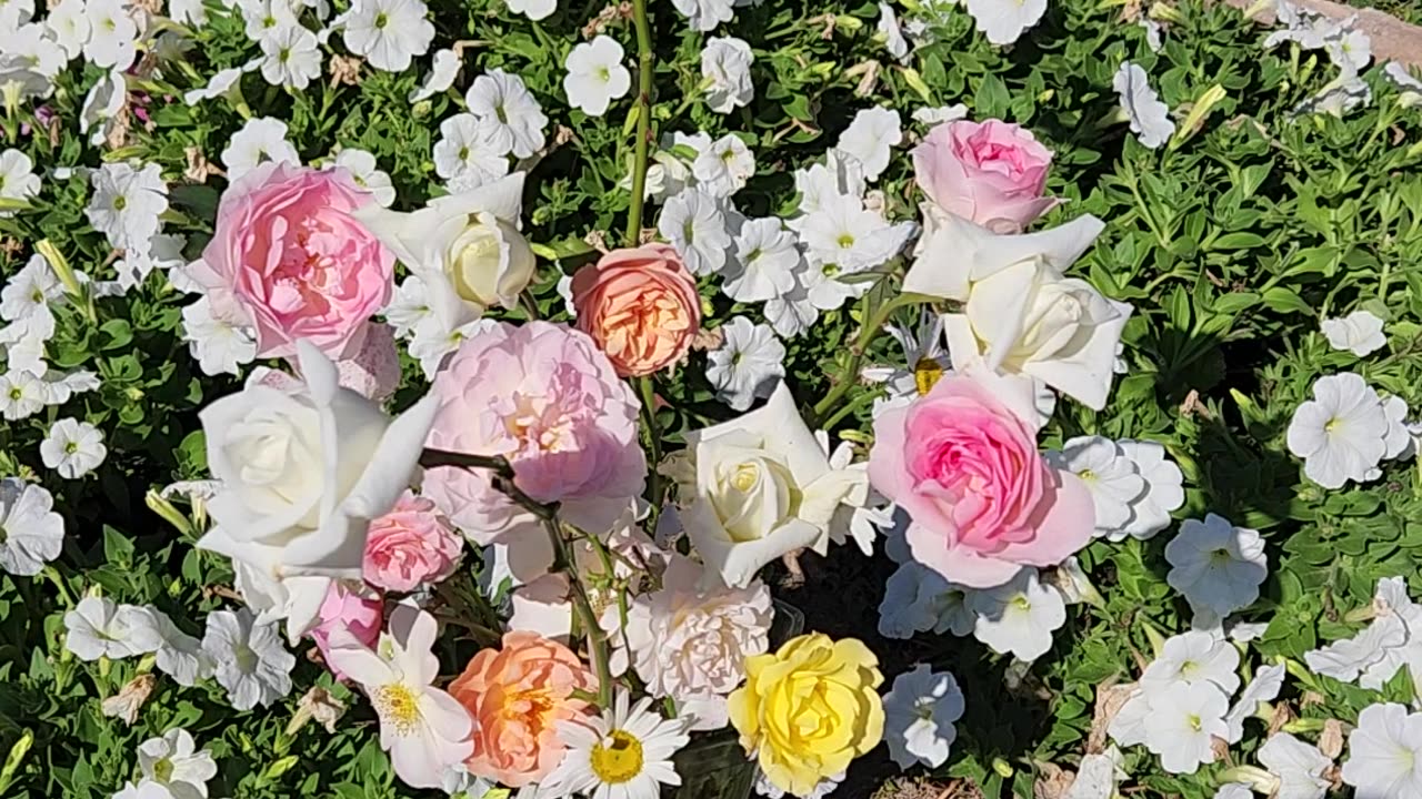 A Floral Selection