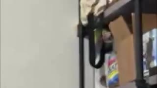 Taco Craving - Midnight Run & The Ultimate Taco Build!