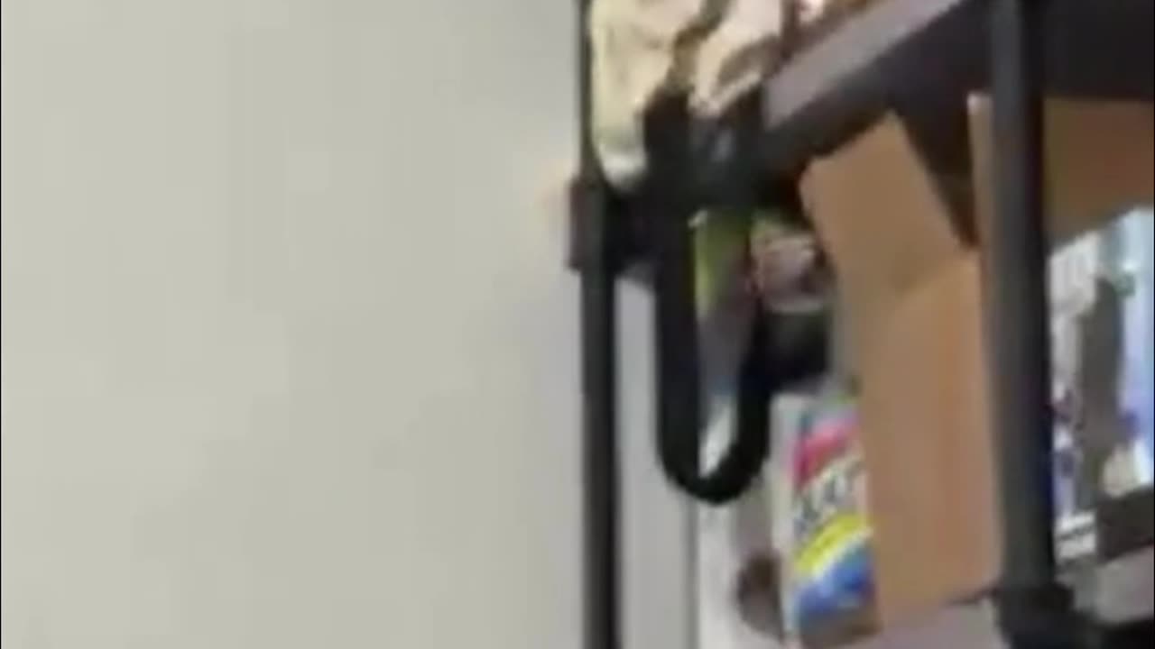 Taco Craving - Midnight Run & The Ultimate Taco Build!