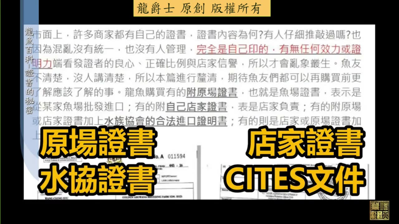 【龍爵士】龍魚百科 證書晶片的秘密