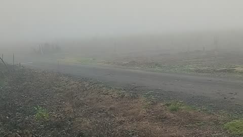 Misty Morning Walk'n'Talk w/ Sudy and DShK