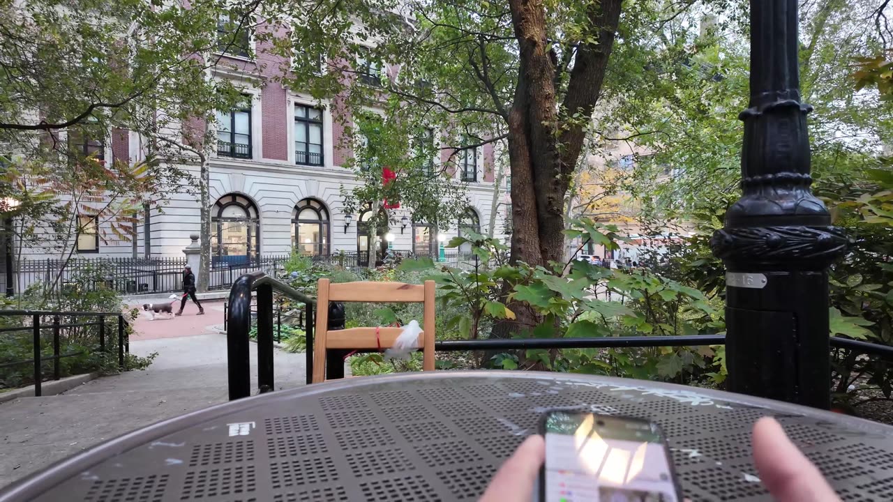 🗽 NYC Live 🔴 Walk (Chat on YouTube)