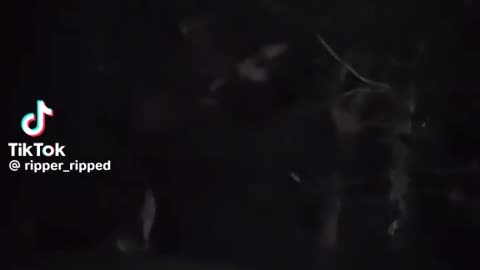 😱👻 You Won't Believe What They Caught on Camera! Unexplained Entity | TheHauntingHour