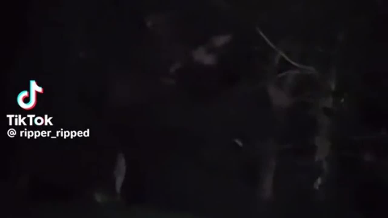 😱👻 You Won't Believe What They Caught on Camera! Unexplained Entity | TheHauntingHour