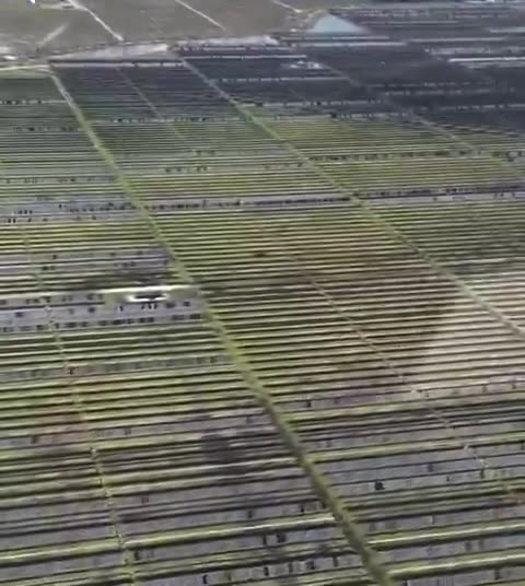 Don't worry, we're "saving the planet".