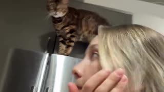 😹😹 Cat's Confused Reaction is PRICELESS! | FunFM