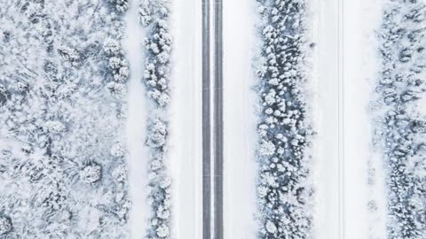 Alaska Travel in Winter ❄️ | Breathtaking Frozen Landscapes | TravelwithSaave