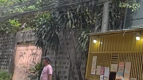 Chill Stroll Along Forest Hill Drive in Quezon City, Philippines