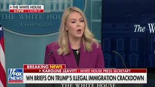 Karoline Leavitt with the mic drop on illegal immigration