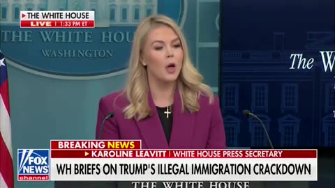 Karoline Leavitt with the mic drop on illegal immigration