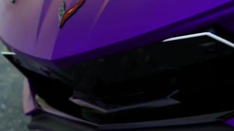 Corvette