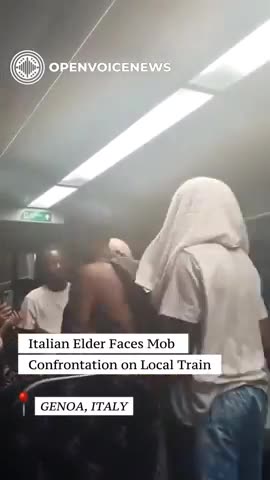 African Orcs Abuse Italian Elder on Train
