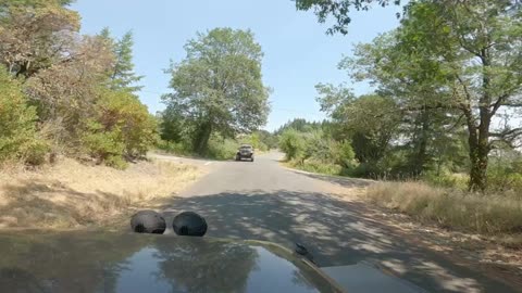 California - Redwoods National Park day 3