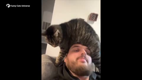 When Your Cats Forgot They’re Cats