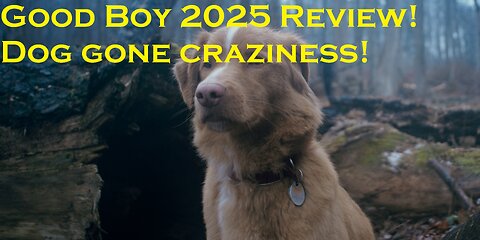Good Boy Review! Dog Gone Craziness!