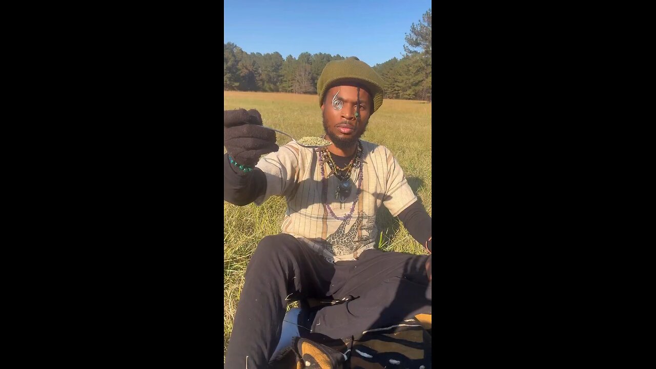 How To Cure The Eyes With Fennel