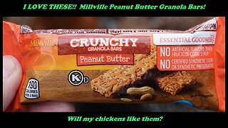 I love Aldi's Millville Peanut Butter Crunchy Granola Bars. Do chickens?