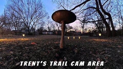 Trent's Trail Cam Area & Setup