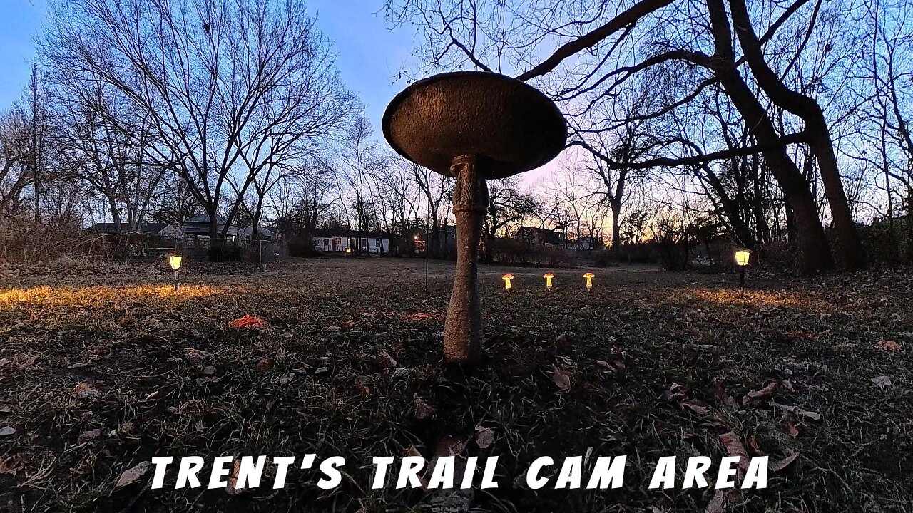 Trent's Trail Cam Area & Setup - December 2025